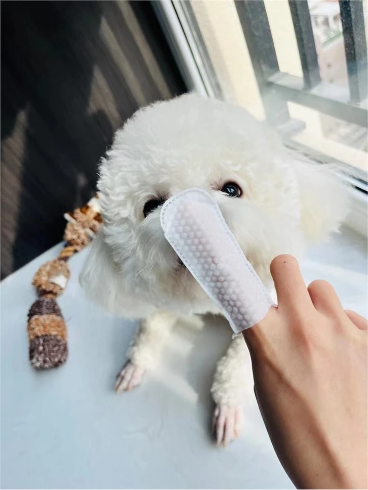 Lingettes humides malacétiques pour chiens
